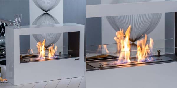 ProFire DF1 biotakka